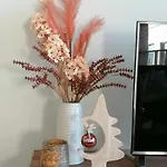 Bartine - Modern And Spacious Flat Near The Sea, Free Parking Space 公寓 奥斯滕德