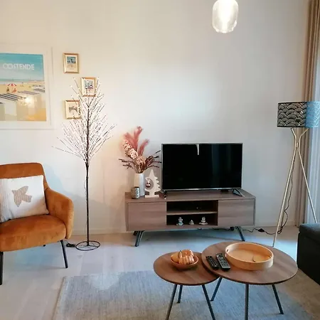 公寓 Bartine - Modern And Spacious Flat Near The Sea, Free Parking Space 奥斯滕德