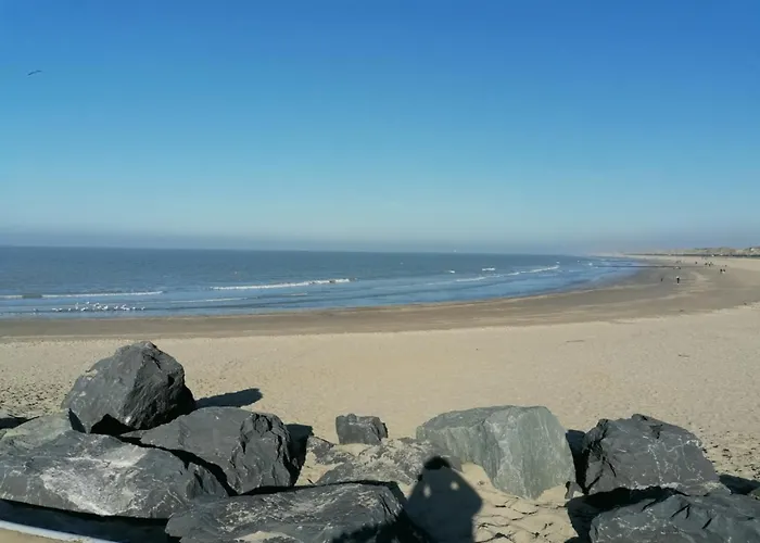 公寓 Bartine - Modern And Spacious Flat Near The Sea, Free Parking Space 奥斯滕德