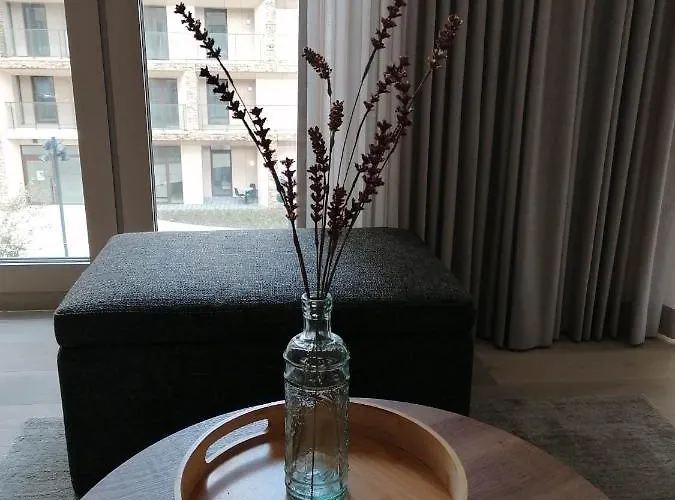 Bartine - Modern And Spacious Flat Near The Sea, Free Parking Space 奥斯滕德