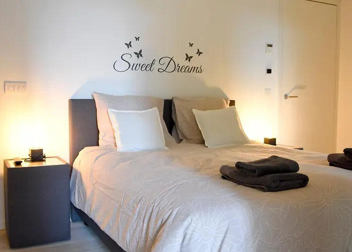 Bartine - Modern And Spacious Flat Near The Sea, Free Parking Space 公寓 奥斯滕德