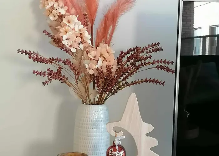 Bartine - Modern And Spacious Flat Near The Sea, Free Parking Space 公寓 奥斯滕德